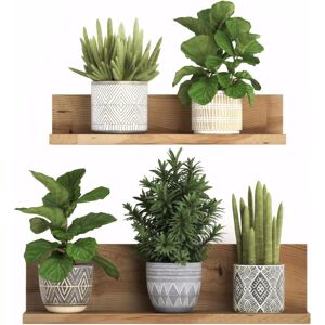 Csparkv - 3D Removable pvc Bonsai Wall Sticker Creative Wall Decor Floral Green Plants Bonsai Tree Wall Stickers Tropical Plant Wall Decor Stickers Csparkv - 3D Removable pvc Bonsai Wall Sticker Creative Wall Decor Floral Green Plants Bonsai Tree Wall Stickers Tropical Plant Wall Decor Stickers