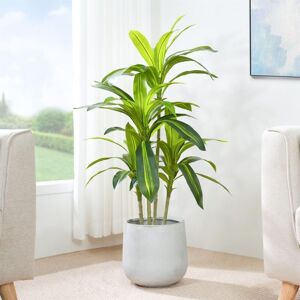 Mcc Direct - Decorative Artificial Agave Tree with Plastic Planter and Artificial Moss 120cm Mcc Direct - Decorative Artificial Agave Tree with Plastic Planter and Artificial Moss 120cm