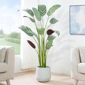 Mcc Direct - Decorative Artificial Bird of Paradise Tree with Plastic Planter and Artificial Moss 160cm Mcc Direct - Decorative Artificial Bird of Paradise Tree with Plastic Planter and Artificial Moss 160cm