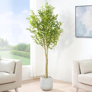Mcc Direct - Decorative Artificial Olive Tree with Plastic Planter and Artificial Moss 160cm Mcc Direct - Decorative Artificial Olive Tree with Plastic Planter and Artificial Moss 160cm
