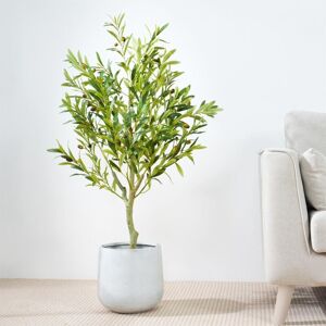 Mcc Direct - Decorative Artificial Olive Tree with Plastic Planter and Artificial Moss 100cm Mcc Direct - Decorative Artificial Olive Tree with Plastic Planter and Artificial Moss 100cm
