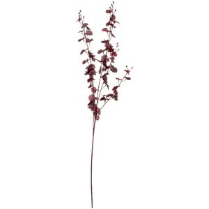 Hill Interiors - Deep Orchid Spray Artificial Flower (Single Stem) - L20 x W20 x H91 cm - Burgundy Hill Interiors - Deep Orchid Spray Artificial Flower (Single Stem) - L20 x W20 x H91 cm - Burgundy