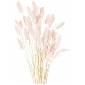 Hill Interiors - Dried Bunny Tail Bunch of 40 Artificial Plant - H60 cm - Pale Pink Hill Interiors - Dried Bunny Tail Bunch of 40 Artificial Plant - H60 cm - Pale Pink