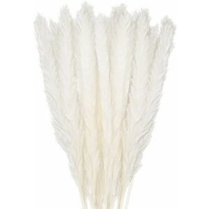 Simplicity - Dried Pampas Grass Decoration Set of 30, Decorative Flower Bouquet for Home Vase, Pampas Feather Grass 45cm Decorative Plant Decoration Simplicity - Dried Pampas Grass Decoration Set of 30, Decorative Flower Bouquet for Home Vase, Pampas Feather Grass 45cm Decorative Plant Decoration