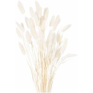 Hill Interiors - Dried Bunny Tail Bunch of 60 Artificial Plant - H60 cm - White Hill Interiors - Dried Bunny Tail Bunch of 60 Artificial Plant - H60 cm - White