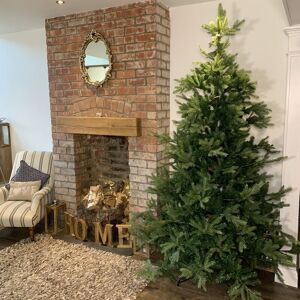 SAMUEL ALEXANDER Everlands 240cm (8ft) Green Grandis Fir Real Look Christmas Tree 2935 Tips SAMUEL ALEXANDER Everlands 240cm (8ft) Green Grandis Fir Real Look Christmas Tree 2935 Tips