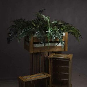 Hill Interiors - Fern Bunch Artificial Plant - Fabric/Plastic - L80 x W57 x H60 cm - Green Hill Interiors - Fern Bunch Artificial Plant - Fabric/Plastic - L80 x W57 x H60 cm - Green