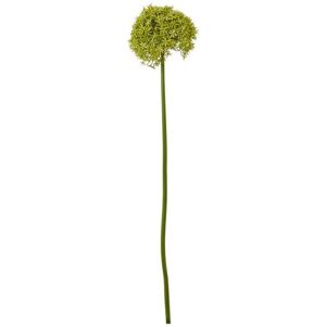 Giant Allium (Single Stem Flower) - Plastic - L21 x W21 x H90 cm - Green Giant Allium (Single Stem Flower) - Plastic - L21 x W21 x H90 cm - Green