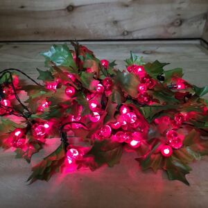 Samuel Alexander - Indoor Outdoor 100 Christmas led Red Berry And Holly Lights Green Cable Samuel Alexander - Indoor Outdoor 100 Christmas led Red Berry And Holly Lights Green Cable