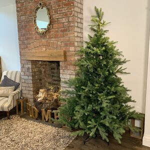 Kaemingk Everlands 180cm (6ft) Green Grandis Fir Real Look Christmas Tree 1564 Tips Kaemingk Everlands 180cm (6ft) Green Grandis Fir Real Look Christmas Tree 1564 Tips