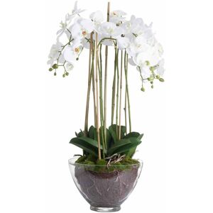 HILL INTERIORS Large Orchid in Glass Pot Artificial Flower - Plastic - L70 x W70 x H88 cm - White HILL INTERIORS Large Orchid in Glass Pot Artificial Flower - Plastic - L70 x W70 x H88 cm - White