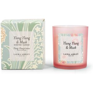 Laura Ashley Ylang Ylang & Musk scented candle, aromatic candle, HxWxD: 10x9x9 cm, glass, natural wax, gift idea Laura Ashley Ylang Ylang & Musk scented candle, aromatic candle, HxWxD: 10x9x9 cm, glass, natural wax, gift idea