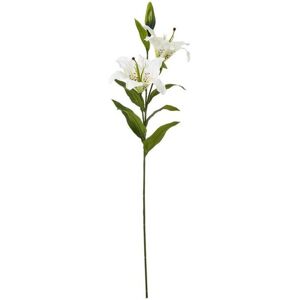 Madonna Lily Spray (Single Stem Flower) - Plastic - Height 87 cm - White Madonna Lily Spray (Single Stem Flower) - Plastic - Height 87 cm - White