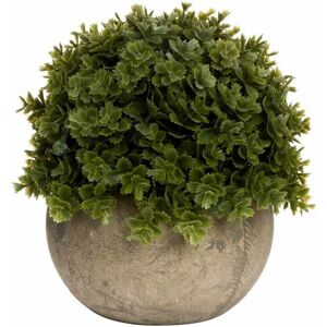 Hill Interiors - Miniature Hebe Veronica in Pot Artificial Plant - L13 x W13 x H13 cm Hill Interiors - Miniature Hebe Veronica in Pot Artificial Plant - L13 x W13 x H13 cm