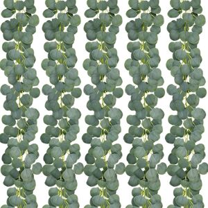 COAVAS Pack Artificial Eucalyptus Garland Greenery Eucalyptus Vines Faux Silver Dollar Eucalyptus Strands for Wedding Party Garden Decoration COAVAS Pack Artificial Eucalyptus Garland Greenery Eucalyptus Vines Faux Silver Dollar Eucalyptus Strands for Wedding Party Garden Decoration