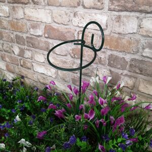 Samuel Alexander - Pack of 6 Tom Chambers Urban Metal Herbaceous Garden Green Single Stem Plant Support Rings 12cm x 38cm Samuel Alexander - Pack of 6 Tom Chambers Urban Metal Herbaceous Garden Green Single Stem Plant Support Rings 12cm x 38cm