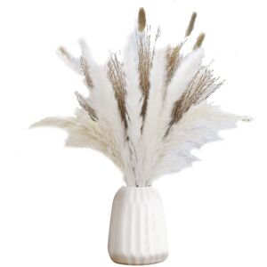 TLILY Pampas Grass 20 Pcs Nature White Pampas Grass, 15 Pcs Dried Reed, 15 Pcs Bunny Tail Grass, 3 Pcs White Reed, Home Decor TLILY Pampas Grass 20 Pcs Nature White Pampas Grass, 15 Pcs Dried Reed, 15 Pcs Bunny Tail Grass, 3 Pcs White Reed, Home Decor