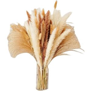 Tlily - Pampas Grass, 80 Pcs Dried Pampas Grass Decor Tall 17inch, Natural Brown & White Pompous Grass Bunny Tails Dried Flowers Tlily - Pampas Grass, 80 Pcs Dried Pampas Grass Decor Tall 17inch, Natural Brown & White Pompous Grass Bunny Tails Dried Flowers
