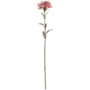 Pink Carnation Stem Artificial Flower - Plastic - L11 x W10 x H56 cm - Pink Pink Carnation Stem Artificial Flower - Plastic - L11 x W10 x H56 cm - Pink
