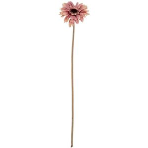 Pink Gerbera Stem Artificial Flower - Plastic - L11 x W11 x H53 cm - Pink Pink Gerbera Stem Artificial Flower - Plastic - L11 x W11 x H53 cm - Pink