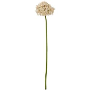 Pink Giant Allium (Single Stem Flower) - Plastic - L21 x W21 x H90 cm - Pink Pink Giant Allium (Single Stem Flower) - Plastic - L21 x W21 x H90 cm - Pink