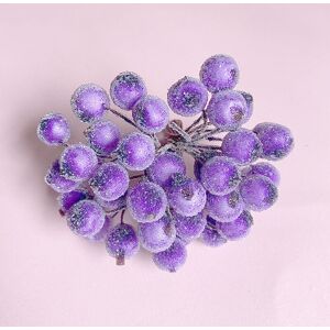 ANPVIZ Purple 5 Fruits Holly Berries Frosted Fruits Holly Berries Mini Artificial Christmas Berry Flower for Home Wedding Party Birthday DIY Decoration ANPVIZ Purple 5 Fruits Holly Berries Frosted Fruits Holly Berries Mini Artificial Christmas Berry Flower for Home Wedding Party Birthday DIY Decoration