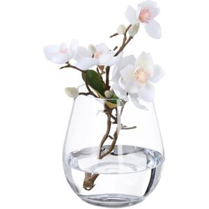 Relaxdays - Glass Vase, for Flowers, Tall Tulip Holder, for Bouquets, Table Centrepiece, HxD: 16 x 14 cm, Transparent Relaxdays - Glass Vase, for Flowers, Tall Tulip Holder, for Bouquets, Table Centrepiece, HxD: 16 x 14 cm, Transparent