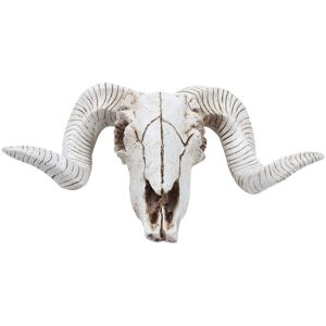 TLILY Resin Sheep Head Skull Wall Hanging 3D Animal Longhorn Sculpture Figurines Crafts Horns Home Decor Ornaments TLILY Resin Sheep Head Skull Wall Hanging 3D Animal Longhorn Sculpture Figurines Crafts Horns Home Decor Ornaments