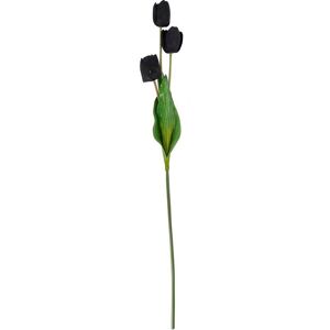 Tall Black Triple Tulip - Artificial Flower (Single Stem) - Plastic - L13 x W17 x H108 cm - Black Tall Black Triple Tulip - Artificial Flower (Single Stem) - Plastic - L13 x W17 x H108 cm - Black