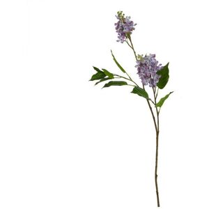 The Natural Garden Collection Lilac (Single Stem Flower) - Plastic - L30 x W30 x H75 cm - Purple The Natural Garden Collection Lilac (Single Stem Flower) - Plastic - L30 x W30 x H75 cm - Purple