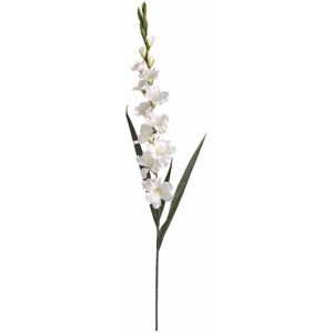 HILL INTERIORS Gladioli Artificial Flower - Fabric/Plastic - L6 x W11 x H108 cm - White HILL INTERIORS Gladioli Artificial Flower - Fabric/Plastic - L6 x W11 x H108 cm - White