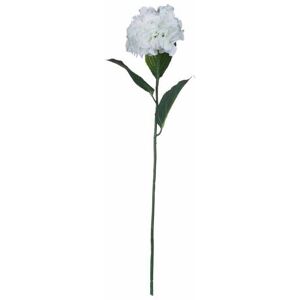 HILL INTERIORS White Small Head Hydrangea Artificial Flower - Fabric/Plastic - L15 x W15 x H71 cm - White HILL INTERIORS White Small Head Hydrangea Artificial Flower - Fabric/Plastic - L15 x W15 x H71 cm - White