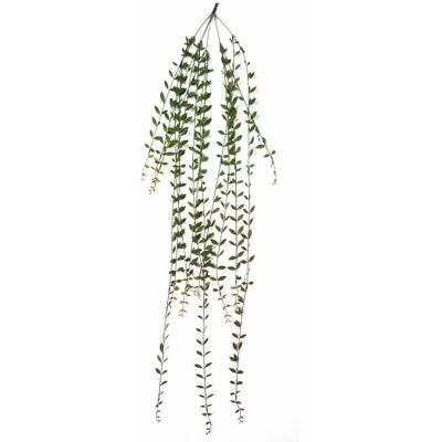 Leaf 120cm Artificial Hanging String of Pearls - Artificial Hanging String of Pearls Leaf 120cm Artificial Hanging String of Pearls - Artificial Hanging String of Pearls