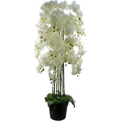 Leaf Giant White Orchid Plant - Artificial - 189 Real Touch Flowers - Unisex Leaf Giant White Orchid Plant - Artificial - 189 Real Touch Flowers - Unisex