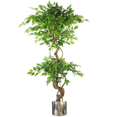 Botanik UK 150cm Twisted Trunk Artificial Ficus Tree - Artificial Ficus Tree Botanik UK 150cm Twisted Trunk Artificial Ficus Tree - Artificial Ficus Tree
