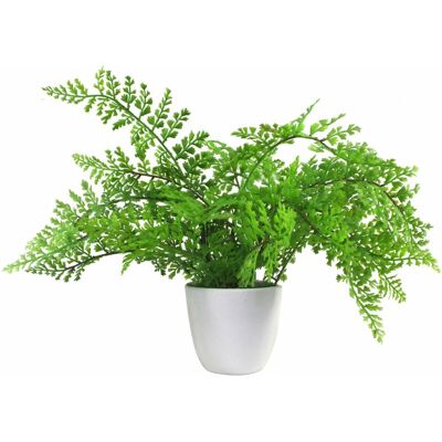 Leaf 30cm Artificial Potted Royal Fern - Artificial plant Leaf 30cm Artificial Potted Royal Fern - Artificial plant
