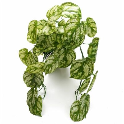 Leaf 35cm Artificial Trailing Light Green Plant - Artificial Plant Leaf 35cm Artificial Trailing Light Green Plant - Artificial Plant