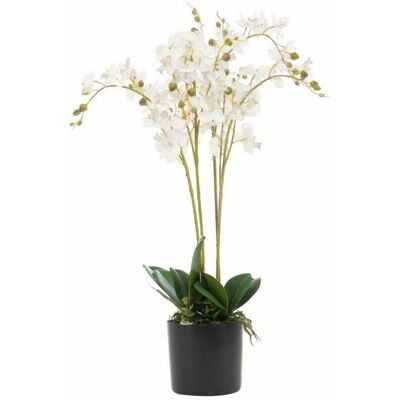 Leaf Design UK Artificial Orchid - 60cm White Display Leaf Design UK Artificial Orchid - 60cm White Display