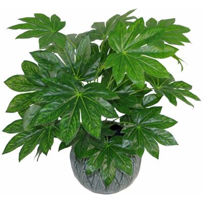 Leaf Design UK 60cm Artificial Foliage Plant - Green - Realistic, Large Leaf Design UK 60cm Artificial Foliage Plant - Green - Realistic, Large