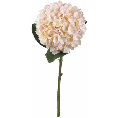 Hill Interiors - Autumn Hydrangea Artificial Flower - Fabric/Plastic - L18 x W18 x H42 cm - White Hill Interiors - Autumn Hydrangea Artificial Flower - Fabric/Plastic - L18 x W18 x H42 cm - White