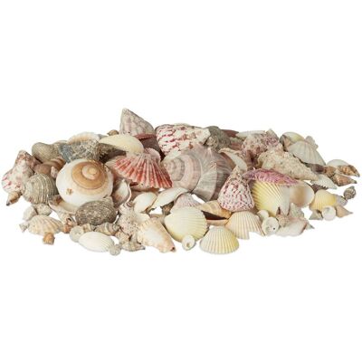 Relaxdays Sea Shell Decor Set - Beach Atmosphere - 1kg Relaxdays Sea Shell Decor Set - Beach Atmosphere - 1kg