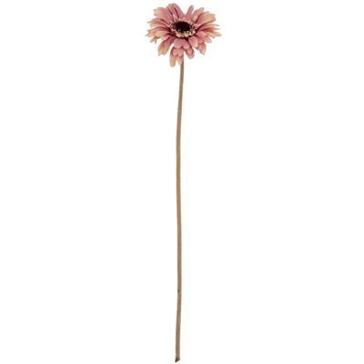 Pink Gerbera Stem Artificial Flower - Plastic - L11 x W11 x H53 cm - Pink Pink Gerbera Stem Artificial Flower - Plastic - L11 x W11 x H53 cm - Pink