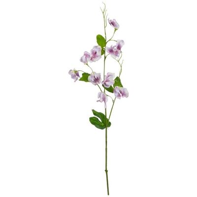 The Natural Garden Collection Sweetpea - Artificial Flower (Single Stem) - Plastic - H61 cm - Purple The Natural Garden Collection Sweetpea - Artificial Flower (Single Stem) - Plastic - H61 cm - Purple