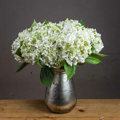 HILL INTERIORS Lace Cap Hydrangea Artificial Plant - Fabric/Plastic - L25 x W25 x H48 cm - White HILL INTERIORS Lace Cap Hydrangea Artificial Plant - Fabric/Plastic - L25 x W25 x H48 cm - White