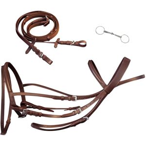 Berkfield Home - Leather Flash Bridle with Reins and Bit Brown Full