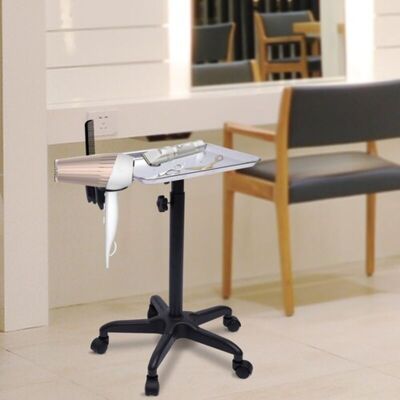 SANBOUSI Salon Trolley Storage Cart Mobile Rolling Mayo Stand Trolley Medical Tray Tool SANBOUSI Salon Trolley Storage Cart Mobile Rolling Mayo Stand Trolley Medical Tray Tool