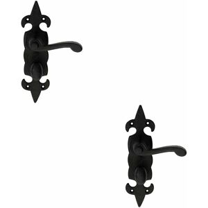 Loops - 2x pair Forged Scroll Handle on Bathroom Backplate 206 x 57mm Black Antique