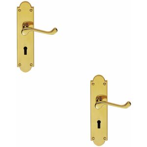 Loops - 2x pair Victorian Scroll Handle on Lock Backplate 205 x 49mm Polished Brass