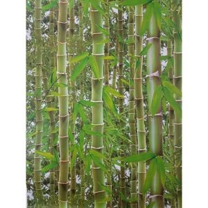 3D Effect Bamboo Forest Photo Mural Wallpaper Jungle Tropical Trees Green Debona