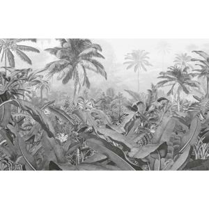 BERKFIELD HOME Komar Photo Mural Amazonia Black and White 400x250 cm